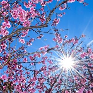 Meet your Posher, Viviana